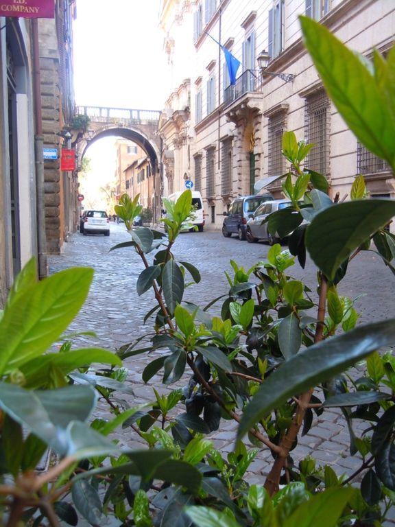 Appartamento Via Giulia Roma